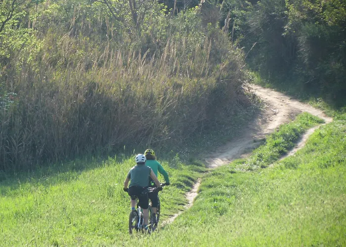 Villa Napoleone A 10 Min Dal Mare Pesaro *